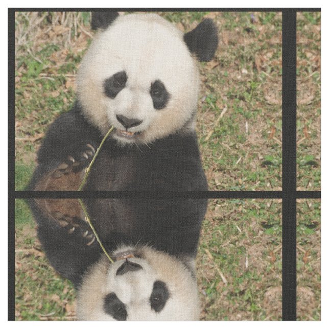 Cute Giant Panda Bear Fabric (Close Up)