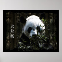 Cute Giant Panda Bear with tasty Bamboo Leaves