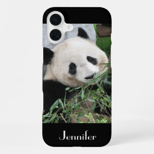 Cute Giant Panda, Black Background, Custom Name iPhone 16 Plus Case
