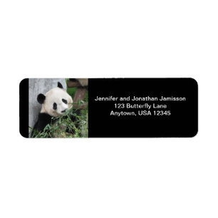 Cute Giant Panda, Black Return Address Labels