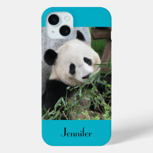 Cute Giant Panda, Blue Background, Custom Name iPhone 15 Mini Case