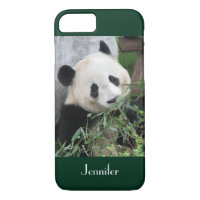 Cute Giant Panda Dark Green Trim, Custom Name