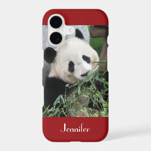 Cute Giant Panda, Dark Red, Custom with Name