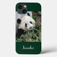Cute Giant Panda Green Background, Name,
