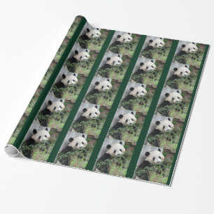 Cute Giant Panda Green Wrapping Paper