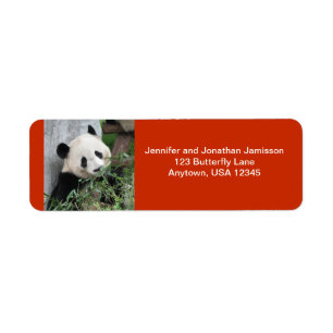 Cute Giant Panda, Orange Return Address