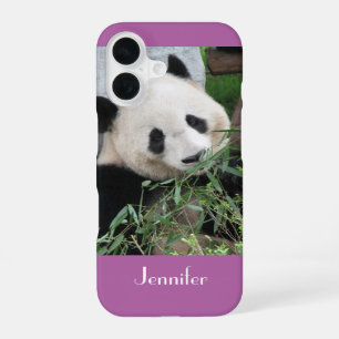 Cute Giant Panda, Orchid, Purple, Name, iPhone 16 Case