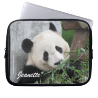 Cute Giant Panda Photo, Name, Computer