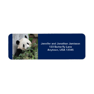 Cute Giant Pandas, Dark Blue, Return Address