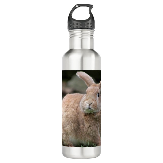 Cute ginger bunny with big ears  710 ml water bottle (Front)
