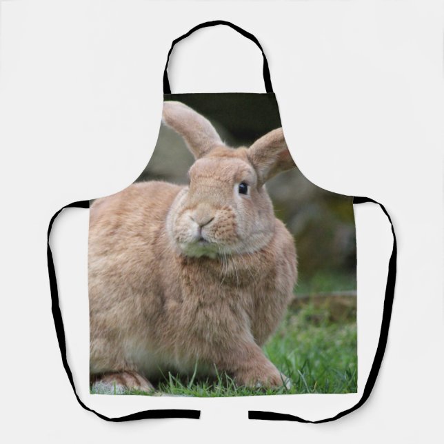 Cute ginger bunny with big ears     apron (Front)