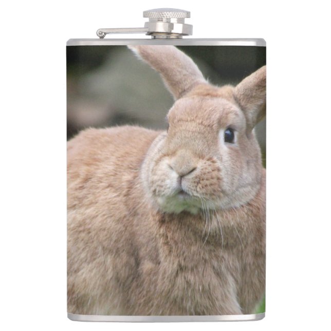 Cute ginger bunny with big ears  hip flask (Front)