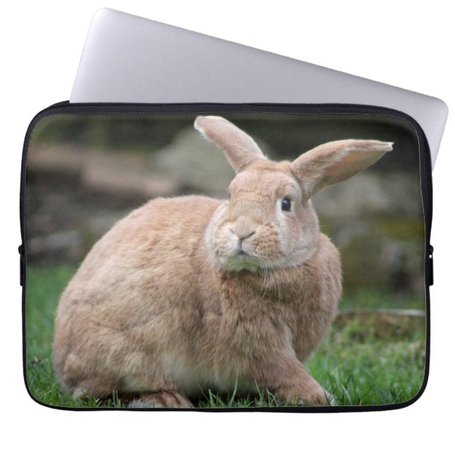 Cute ginger bunny with big ears  laptop sleeve (Front)