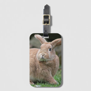 Cute ginger bunny with big ears luggage tag