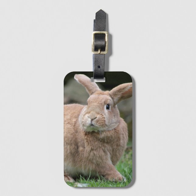 Cute ginger bunny with big ears   luggage tag (Front Vertical)