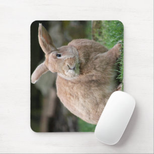 Cute ginger bunny with big ears mouse mat