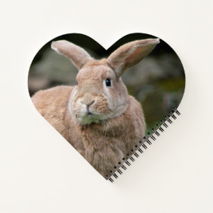Cute ginger bunny with big ears    notebook