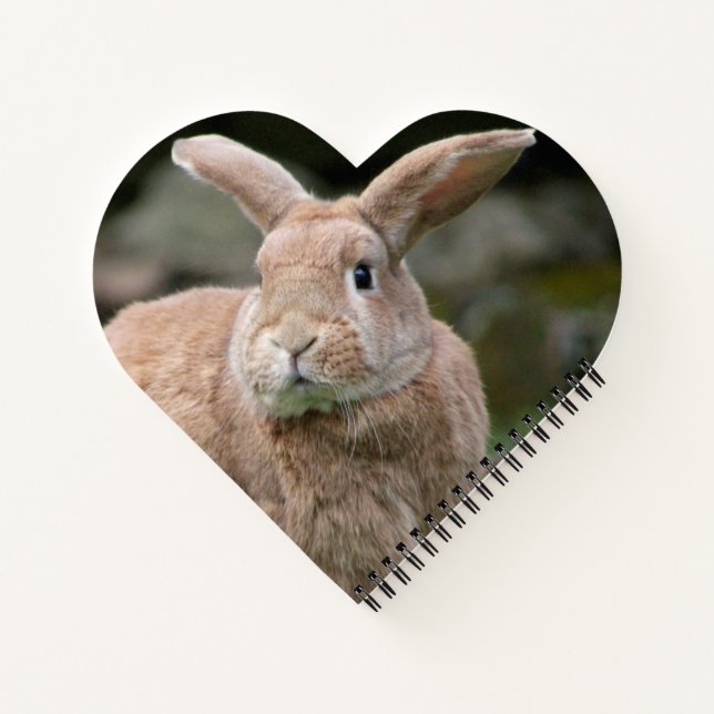 Cute ginger bunny with big ears    notebook (Back)