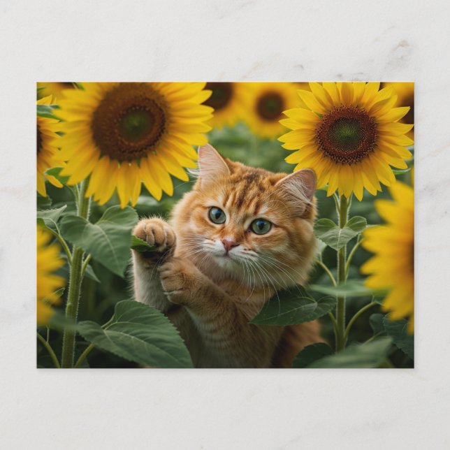 Cute Ginger Cat in Sunflowers Postcard (Front)