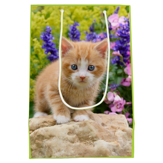 Cute Ginger Cat Kitten Flower Garden gift-wrapping Medium Gift Bag (Back)