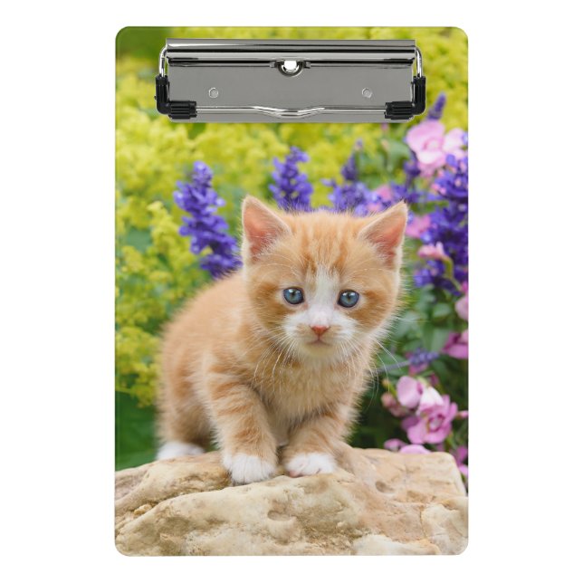 Cute Ginger Cat Kitten Flowery Garden Portrait on Mini Clipboard (Front)