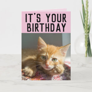 CUTE GINGER CAT KITTEN GIRLS BIRTHDAY CARDS