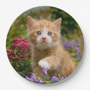 Cute Ginger Cat Kitten in a Garden, Happy Party Paper Plate