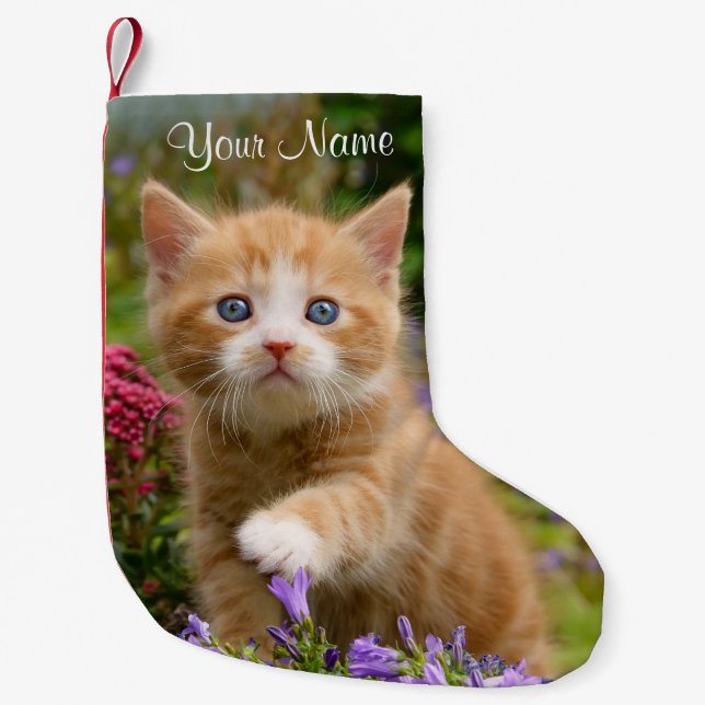Cute Ginger Cat Kitten in a Garden Photo Portrait Small Christmas Stocking (Front)