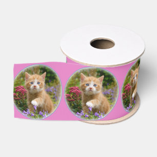 Cute Ginger Cat Kitten in a Garden Portrait Photo Grosgrain Ribbon