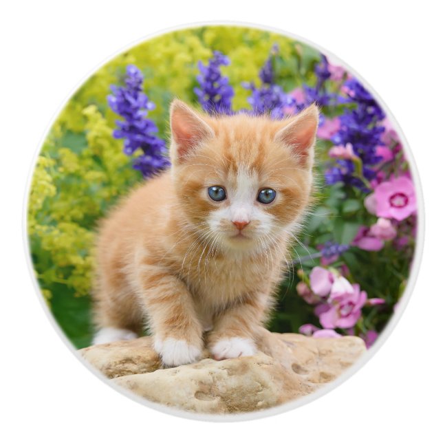 Cute Ginger Cat Kitten in Flowers - Decorative Ceramic Knob (Front)