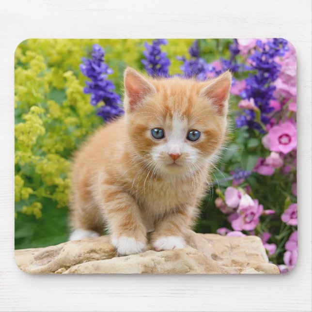 Cute Ginger Cat Kitten in Flowery Garden Portrait Mouse Mat (Front)