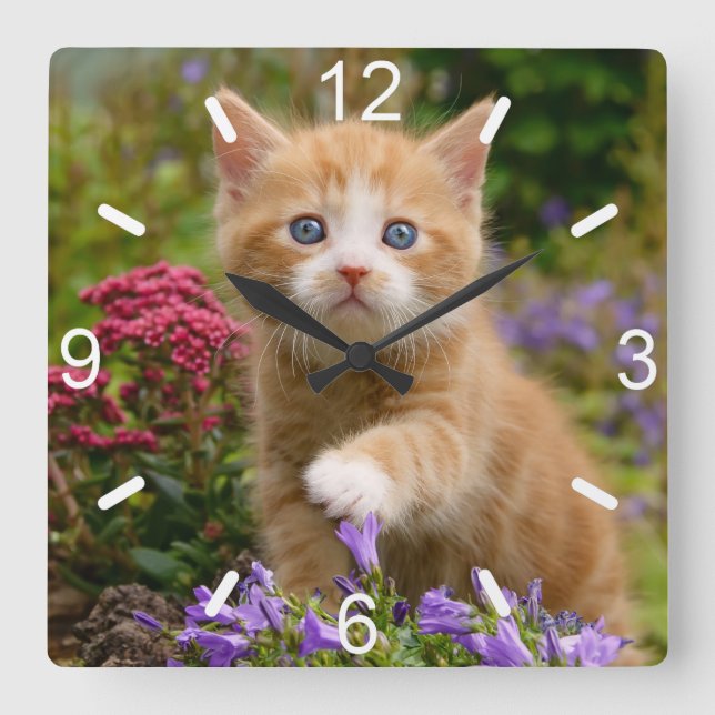 Cute Ginger Cat Kitten in Garden Photo  dial-plate Square Wall Clock (Front)