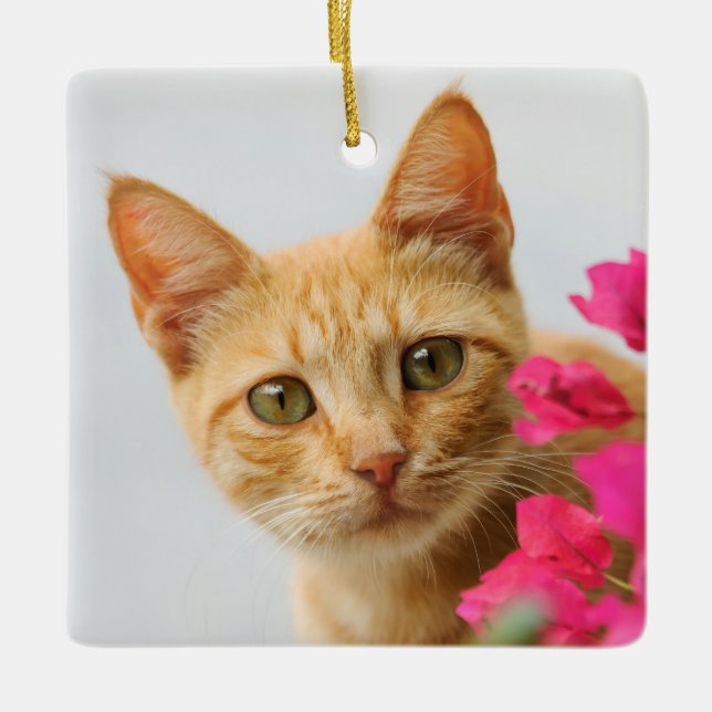 Cute Ginger Cat Kitten is Watching Photo - Ceramic Tree Decoration (Front)