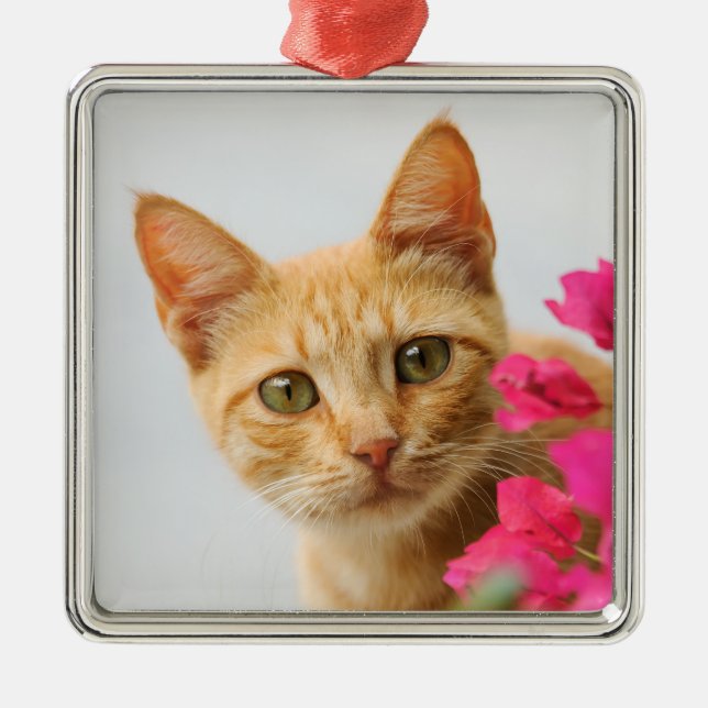 Cute Ginger Cat Kitten is Watching you Photo - Metal Tree Decoration (Front)