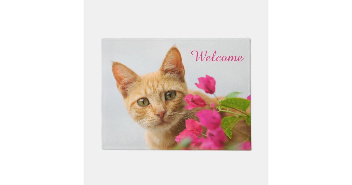 Cute Ginger Cat Kitten Photo Personalised Welcome Doormat Zazzle