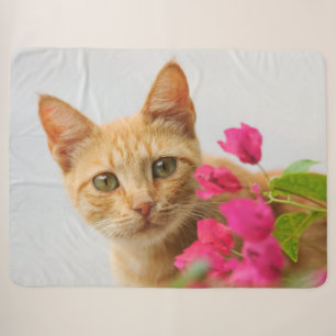 Cute Ginger Cat Kitten Watching Eyes Head Photo ,, Sherpa Blanket