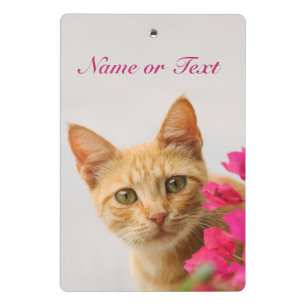 Cute Ginger Cat Kitten Watching Photo Personalised Mini Clipboard