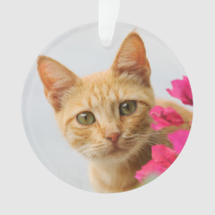 Cute Ginger Cat Kitten Watching You round acrylic Ornament
