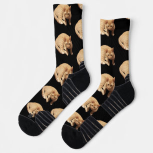 Cute Ginger Cat Photo Socks