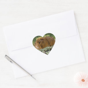 Cute Ginger Guinea Exploring Nature Photo Custom Heart Sticker