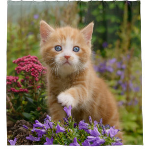 Cute ginger kitten in garden, Tub Shower Curtain