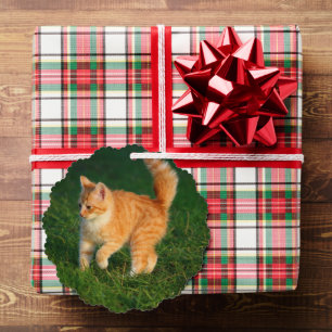 Cute Ginger Kitten Photo Ornament