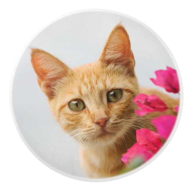 Cute Ginger Kitten Watching You, Decorative Ceramic Knob (Front)