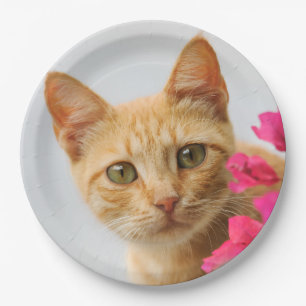 Cute Ginger Kitten Watching You, Happy Party Paper Plate
