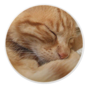 Cute Ginger Orange Cat Dresser Knobs