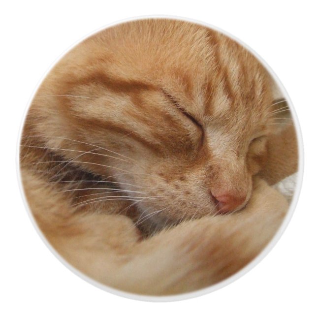 Cute Ginger Orange Cat Dresser Knobs (Front)