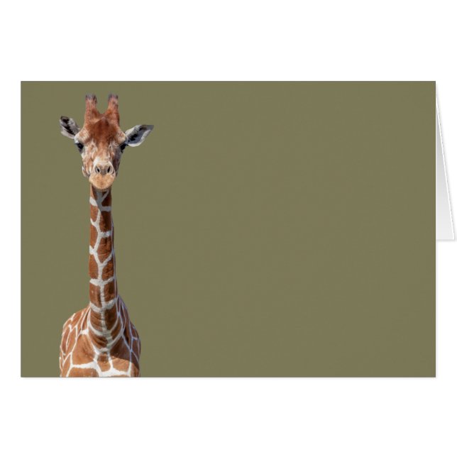 Cute giraffe face (Front Horizontal)