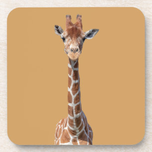 Cute giraffe face coaster