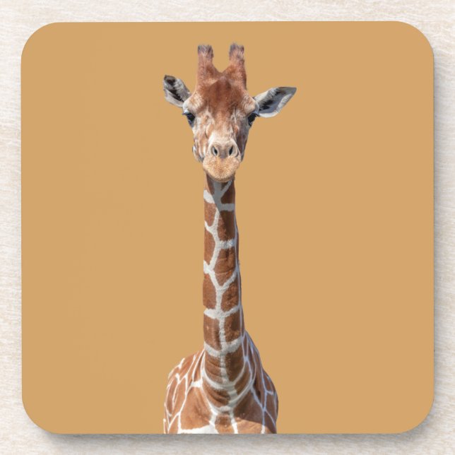 Cute giraffe face coaster (Front)
