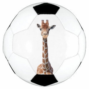 Cute giraffe face football